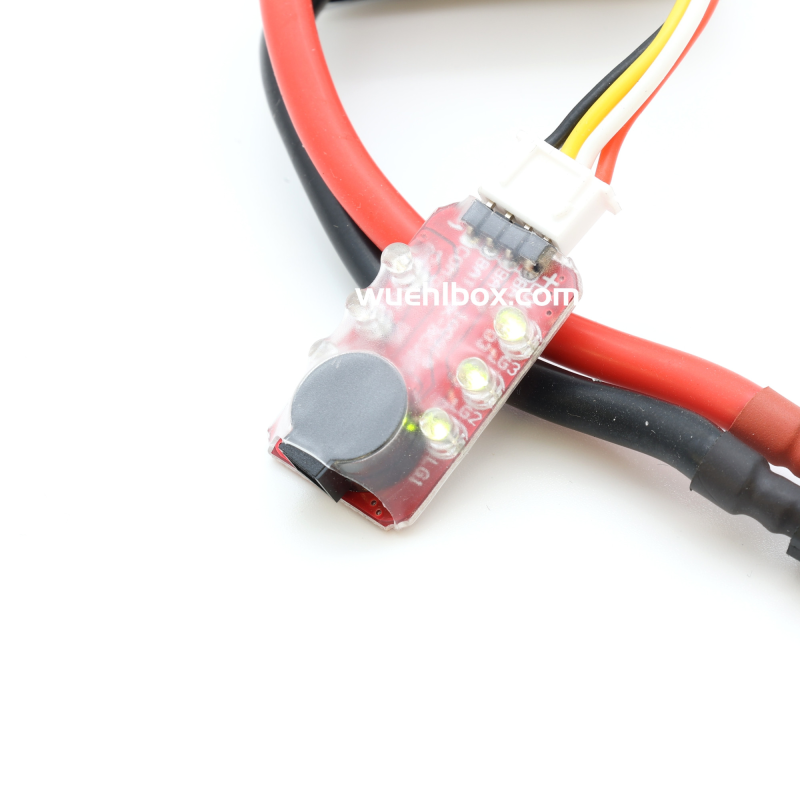 LIPO Wächter 1-3S