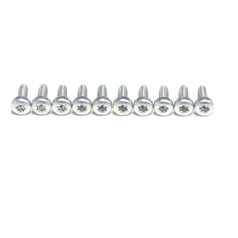 M2.5 x 6 mm Torx screws with a wide head (10 pieces)